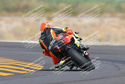 media/Oct-09-2022-SoCal Trackdays (Sun) [[95640aeeb6]]/Turn 14 Backside (1125am)/